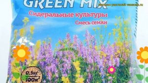 Смесь сидератов (Смесь сидератов). Краткий обзор, описание характеристик, где купить, семена