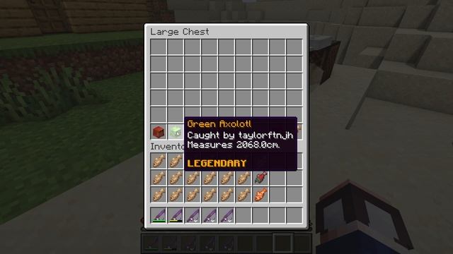 How to Install and Use the EvenMoreFish Minecraft Plugin