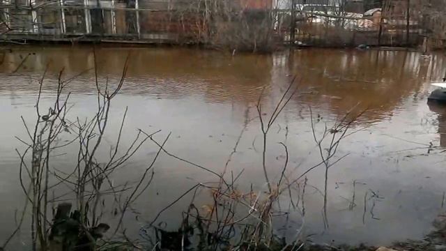 Дачу затопило / Весенний паводок смотреть онлайн