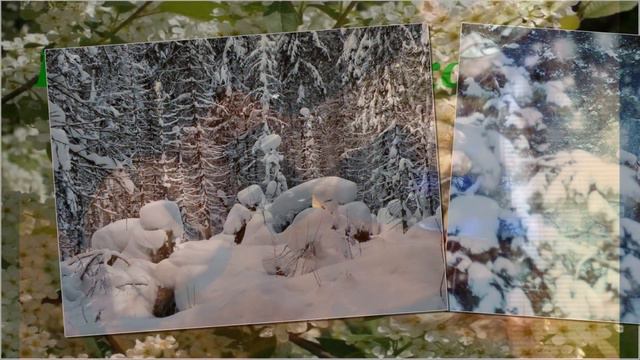 Александр Кунах Всепогодная любовь сл. Михаил Дёмин. смотреть онлайн