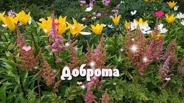 ?С добрым утром! ?С добрым днем!? Пусть каждый ваш день будет самым прекрасным!? смотреть онлайн