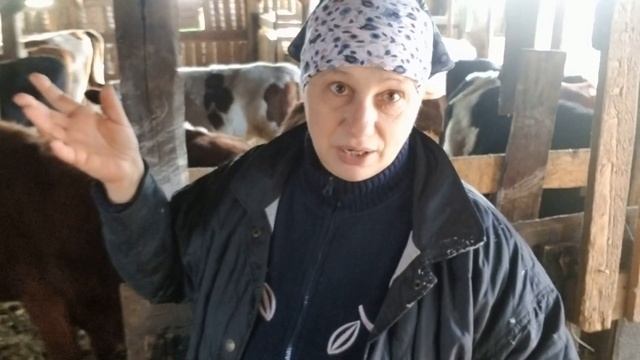 Купили теленка Я растроилась смотреть онлайн