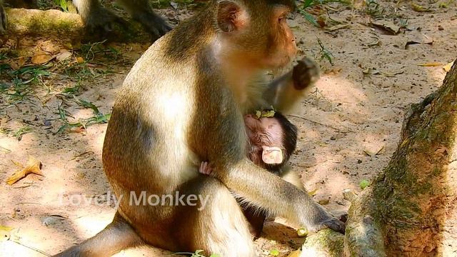 If Possible I Wish Mom Anna Keep Groom and Give Much Nurse Her Baby Like This Ever Better Than Abus смотреть онлайн