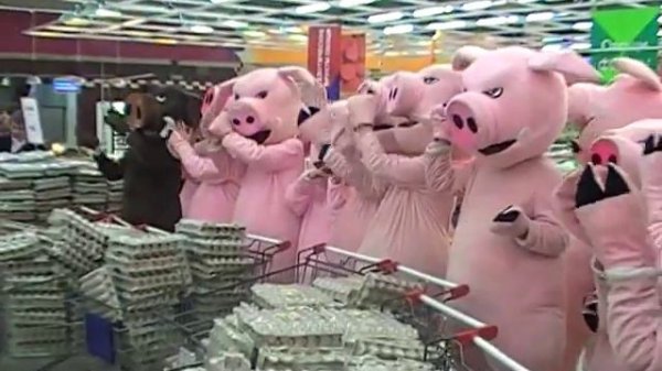 Хрюши против 17 - Седьмой Континент