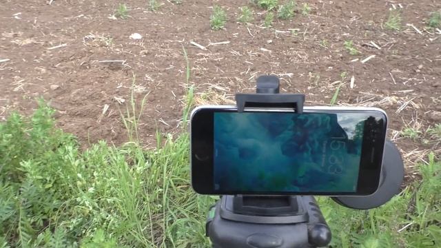 Необычное поле 3.12 смотреть онлайн