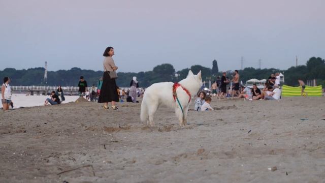 Прожили 1 год в Польше. Что мы узнали об этой стране. смотреть онлайн