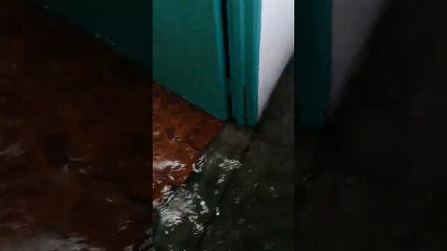 Hustil смотреть онлайн