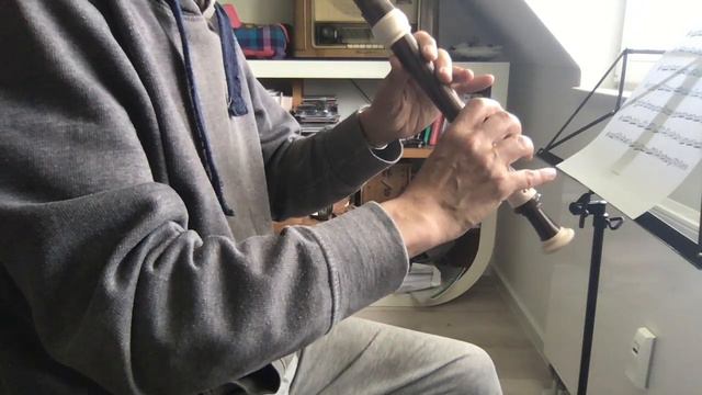 A. Bova, Starting from Bach, Badinerie (from BWV 1067) for alto recorder смотреть онлайн
