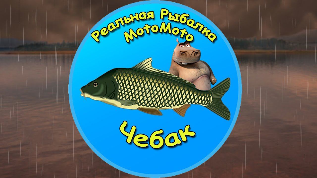 Как поймать Чебака на Братском водохранилище [NEW] | Реальная Рыбалка смотреть онлайн