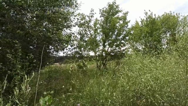 22 августа народный праздник ДЕНЬ МАТВЕЯ. МАТВЕЙ НЕНАСТНЫЙ. народные приметы и поверья смотреть онлайн