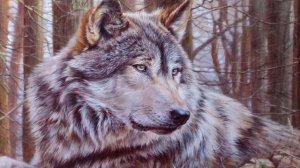 Константин Никольский - В моей душе осадок зла