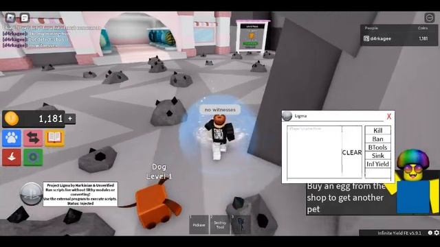 Project Ligma Remade Showcase смотреть онлайн