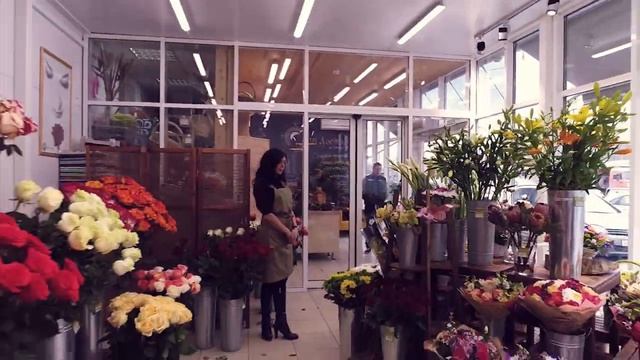 Цветариум 2 смотреть онлайн