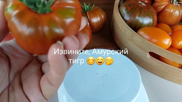 Томаты 2023. Обзор сортов с дегустацией. Часть 2.