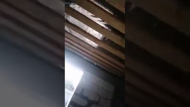 Отзыв о материале Изоспан AQ proff смотреть онлайн