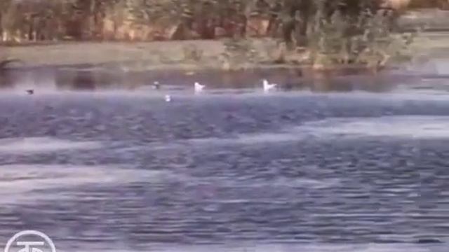 Омск 1977 смотреть онлайн