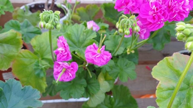 Шёлковый вигвам 2022 смотреть онлайн