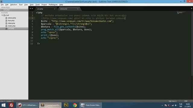 PHP Bot (Seo Puanı Çekme) смотреть онлайн