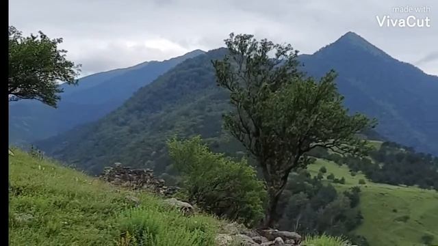 Владикавказ, поездка в Ингушетию смотреть онлайн