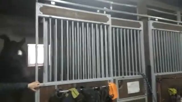 Денник после года эксплуатации смотреть онлайн