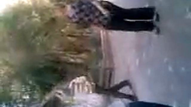 Веселые прогулки смотреть онлайн