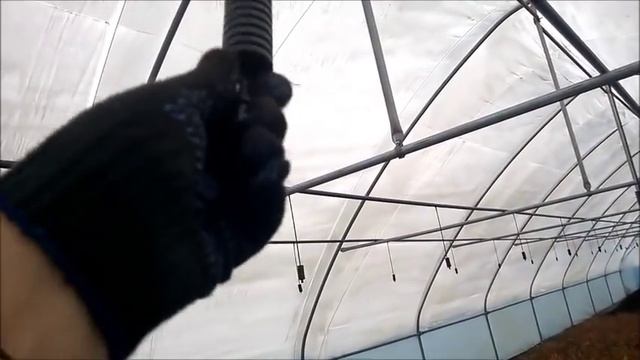Подготовка саженцев к зимовке . смотреть онлайн