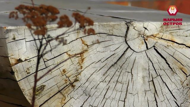 Дерево Марьина острова. смотреть онлайн