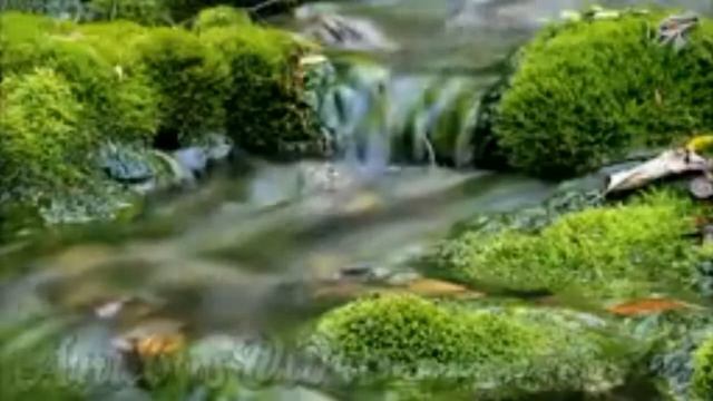 Не грусти милый друг смотреть онлайн