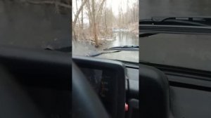 Я шатаюсь на машине по лесам ( сектор газа)