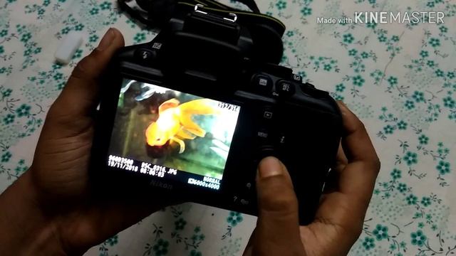 Nikon D3500 tutorials and setup смотреть онлайн