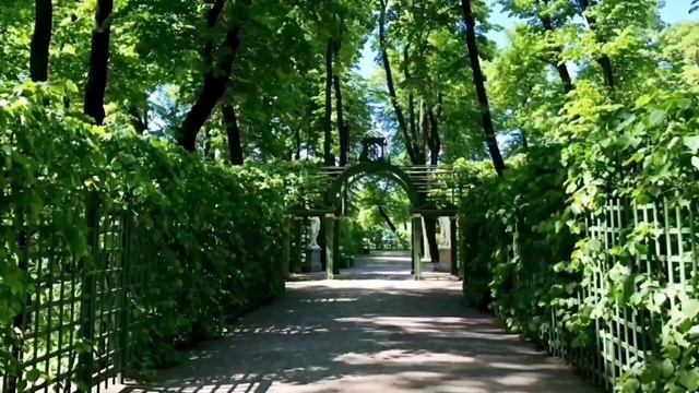 Летний сад в Санкт-Петербурге смотреть онлайн