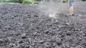 ПОСАДКА ГАЗОНА НА УЧАСТКЕ ? ПОШАГОВАЯ ИНСТРУКЦИЯ☝️☝️☝️