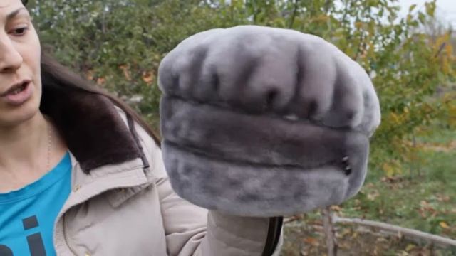 Берет, Падмэ Черничная смотреть онлайн