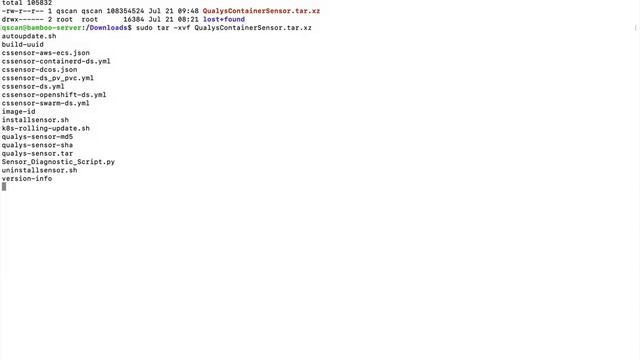 Securing Bamboo Build Pipeline with Qualys Container Security смотреть онлайн