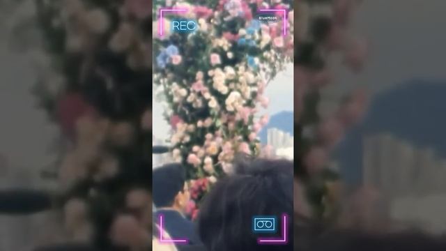 [ENG SUB] Hyun Bin Wedding Highlights / Their Wedding Vows смотреть онлайн