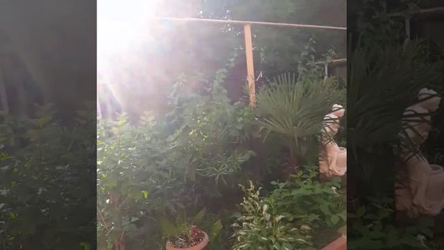 1 смотреть онлайн