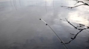 Рыбалка на Верхневолжском водохранилище (ФИДЕР).