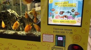ТЦ «КАПИТОЛИЙ». МОРЕ ЖЕЛАНИЙ - уникальный автомат-аквариум с живыми рыбками. Москва. 15.08.22г.