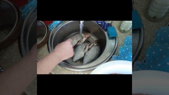 Наука и дом