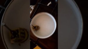 Проверка ДТОЖ фольцваген т4