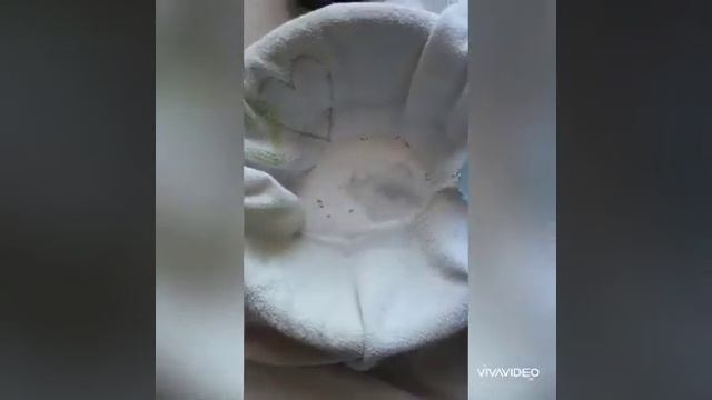 Гринвей порошок Мистик смотреть онлайн