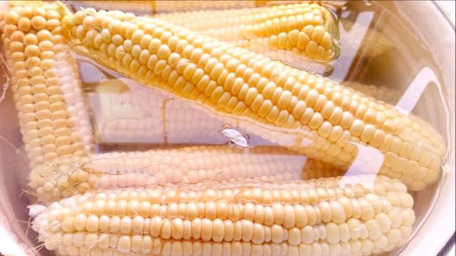 Как правильно приготовить кукурузу! Советы! смотреть онлайн