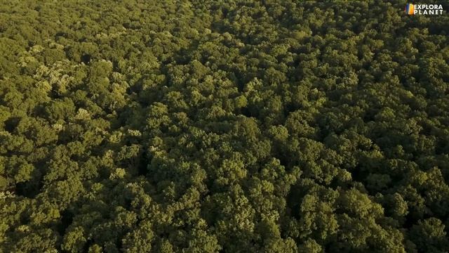 BRASIL | Así Es Brasil | El País Del Amazonas