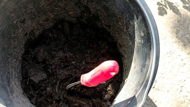 Приготовление концентрата полезных организмов (Революция в дачной агрономии #15.2) смотреть онлайн