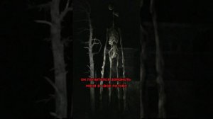 КАК МНЕ УДАЛОСЬ ВЫЗВАТЬ СИРЕНОГОЛОВОГО!? #сиреноголовый