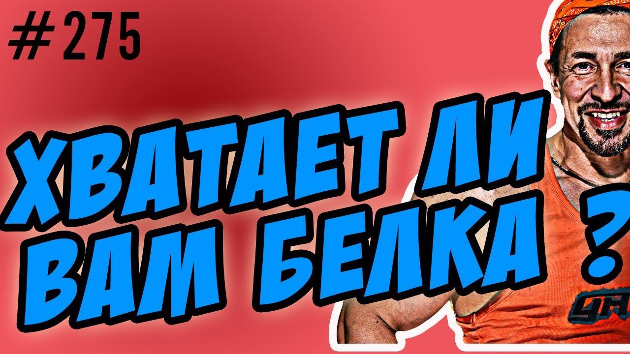 хватает ли вам белка ? сколько нужно белка смотреть онлайн