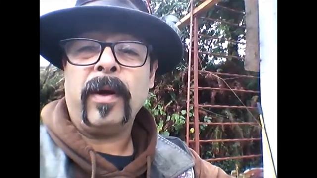PMTS - In the Garden Series Episode 1 Starting grapes and kiwi смотреть онлайн