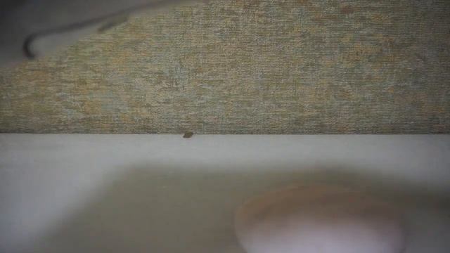 Слайм с накладными ногтями! Возможно?! смотреть онлайн