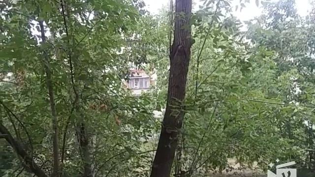 Lps MV: Я бы не пошла за тобой смотреть онлайн