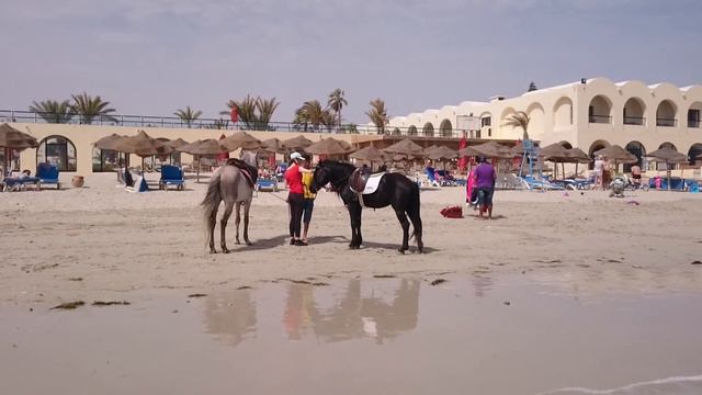 Море в Тунисе,6 май 2017. смотреть онлайн